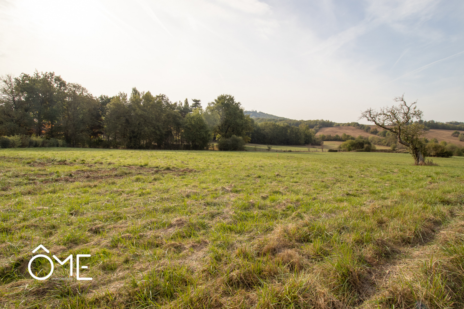 Vente Terrain de 3000m2 à 2 5km de la zone ouest Ome Immobilier